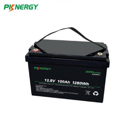 12V-100Ah-LiFePo4-Battery-Pack